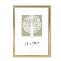 Pildiraam SAVEX 21x29,7cm, plast, kuld