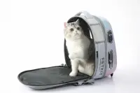 PETKIT | Pet Carrier | Breezy2 | Pink – pilt 6