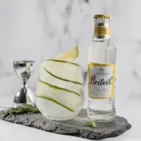 Toonik, BRITVIC, Tonic, 200ml (kogus 24 tükki)