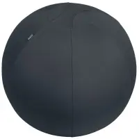 Istumispall Leitz Ergo Active, stopperiga, 65 cm