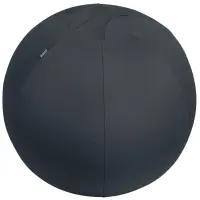 Istumispall Leitz Ergo Active, stopperiga, 65 cm – pilt 5