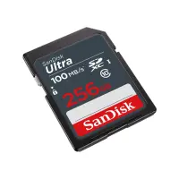 MEMORY SDXC 256GB UHS-I/SDSDUNR-256G-GN3IN SANDISK – pilt 2
