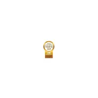 Philips 6000 series PerfectCare 6000 PSG6042/20 Triikimissüsteem – pilt 3