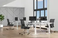 NEOMOUNTS Select Desk Mount Single Disp – pilt 17