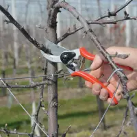 Felco | One-hand pruning shear | FELCO 2