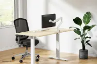 NEOMOUNTS Next Slim Desk Mount single – pilt 25