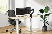 NEOMOUNTS Next Slim Desk Mount double – pilt 19