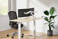 NEOMOUNTS Next Slim Desk Mount double