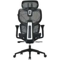 CANYON gaming chair Ventra MOCH01 Mesh Black – pilt 2