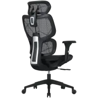 CANYON gaming chair Ventra MOCH01 Mesh Black – pilt 3