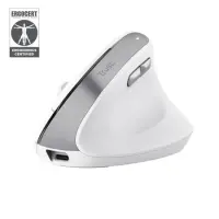 Trust Bayo II hiir Kontor Parempoolne Raadioside Optiline 2400 DPI – pilt 27