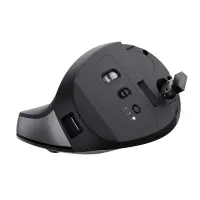 Trust Bayo+ hiir Kontor Parempoolne RF juhtmeta ühendus + Bluetooth Optiline 2400 DPI – pilt 2