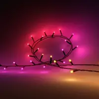 Philips Hue Festavia string lights 500 LED, 40m | Variable