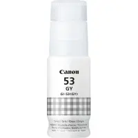Canon GL-53, hall - Tindipudel