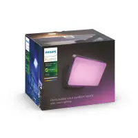Philips Hue WCA Discover Outdoor Floodlight | 2000-6500 Hue White Colour Ambiance