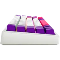 LORGAR KBP70MW, Wireless 65% Mechanical Gaming Keyboard Pro, White, EN layout – pilt 13