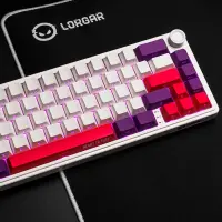LORGAR KBP70MW, Wireless 65% Mechanical Gaming Keyboard Pro, White, EN layout – pilt 14