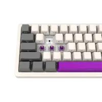 LORGAR KBP70MW, Wireless 65% Mechanical Gaming Keyboard Pro, Beige, EN layout – pilt 7