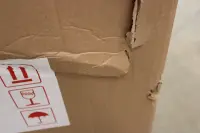 SALE OUT. Digitus 12U Wall Mounting Cabinet, Unique Series - 600x600 mm, Grey | SALE OUT. | Digitus | Wall Mounting Cabinet Unique Series | DN-19 12U-6/6 | 60 x 60 cm | Grey | DAMAGED PACKAGING AND PAINT. DENTED (ONE SIDE, TOP) – pilt 3