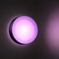 Philips Hue WCA Daylo Outdoor Wall Lantern, Black | 15 W | 2000-6500 Hue White Colour Ambiance – pilt 9