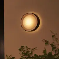 Philips Hue WCA Daylo Outdoor Wall Lantern, Black | 15 W | 2000-6500 Hue White Colour Ambiance – pilt 16