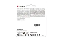 Kingston DataTraveler SE9 G3 | 256 GB | USB Type-A | Gold – pilt 5