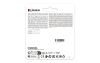 Kingston Technology DataTraveler SE9 G3 USB-välkmälu 256 GB USB tüüp A 3.2 Gen 1 (3.1 Gen 1) Kuld – pilt 10