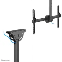 Neomounts CL35-440BL16XL telerikinnitus 177,8 cm (70") Must – pilt 20