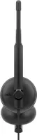 Dell | Headset | WH125 | Built-in microphone | USB Type-A | Black