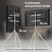 TV SET ACC FLOOR STAND /32-65"/WHITE TS1220-W ONKRON – pilt 4