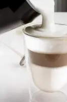 Philips Milk Twister CA6500/63 Piimavahustaja – pilt 5