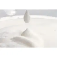 Philips Milk Twister CA6500/63 Piimavahustaja – pilt 25