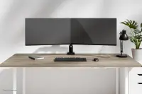 NEOMOUNTS NERO Double Screen Desk Mount