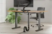 NEOMOUNTS Cable Spine Organizer – pilt 5