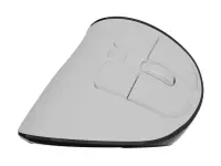 Natec Mouse | Euphonie Pro | Wireless | 2.4 GHz, Bluetooth | White