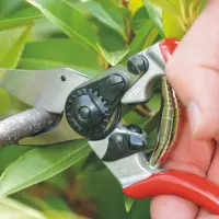 Felco | One-hand pruning shear | FELCO 6 – pilt 3
