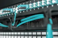 Digitus Cable Management Panel with Brush Entries for 483 mm (19") Cabinets, 1U | DN-97663 – pilt 2