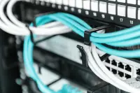 Digitus Cable Management Panel with Brush Entries for 483 mm (19") Cabinets, 1U | DN-97663 – pilt 3