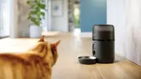 Philips Smart Feeder with Camera | PAW5320/02 5000 Series – pilt 6