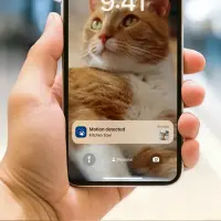 Philips Smart Feeder with Camera | PAW5320/02 5000 Series – pilt 9
