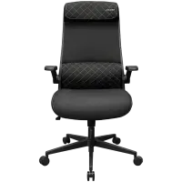 COUGAR Stryder Gaming Chair