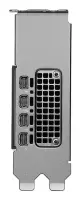 Graphics Card|PNY|NVIDIA|RTX PRO 2000|16 GB|GDDR7|128 bit|PCI Express x8 5.0|Active|Blackwell|VCNRTXPRO2000-SB – pilt 2