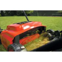 BLACK & DECKER GD300-QS | Lawn Aerator, 600 W – pilt 3