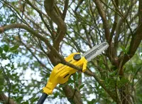 Stanley Cordless chainsaw SFMCPS720M1-QW, 18 V, 20 cm