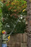 Stanley Cordless chainsaw SFMCPS720M1-QW, 18 V, 20 cm – pilt 3