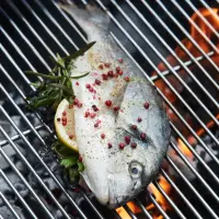 Barbecook | Professional cooking grill, FSC, 90 x 67 x 1 cm | BC-ACC-7160
