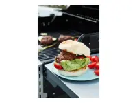 Barbecook Gas Barbecue Spring 2002, 111 x 55 x 115 cm | BC-GAS-2009