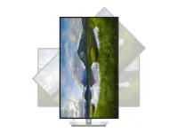 Dell | P3225QE | 32 " | IPS | 4K UHD | 16:9 | 100 Hz | 5 ms | 3840 x 2160 pixels | 350 cd/m² | HDMI ports quantity 1 | Warranty 60 month(s)