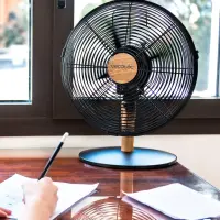 Cecotec EnergySilence 600 WoodDesk | Desktop Fan | Table Fan | 40 W | Diameter 30 cm | Number of speeds 3 | Oscillation | Beige/Black – pilt 3