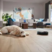 Philips 7000 series HomeRun Aqua XU7000/01 Kuiv- ja märgpuhastusrobot – pilt 5
